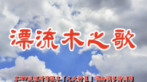 AI歌曲 漂流木之歌